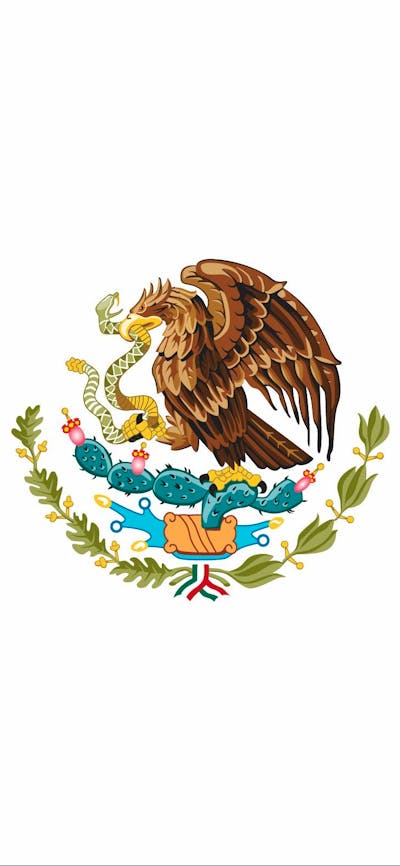 Flag of Mexico