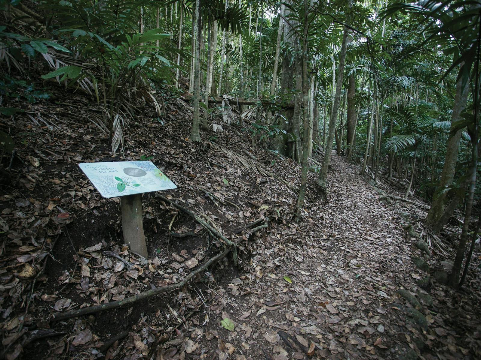 48 hours in Cape Hillsborough and The Hibiscus Coast