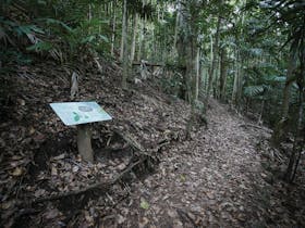 Take a hike through Cape Hillsborough National Park