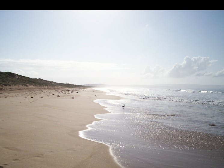 Bherrwerrie Beach