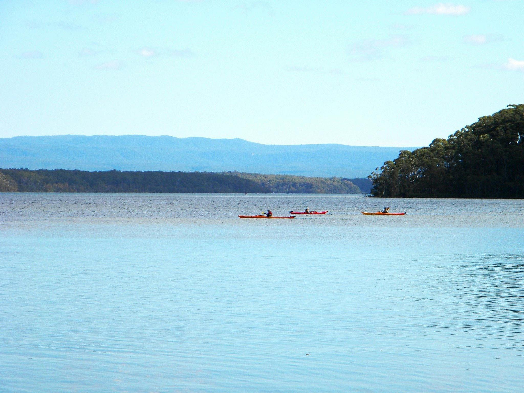 sea kayakers on calm waters at St Georges Basin