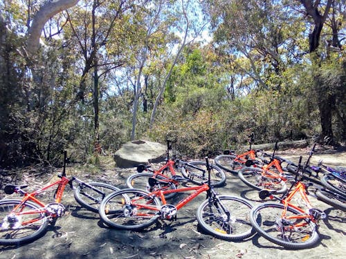 gosford mtb trails