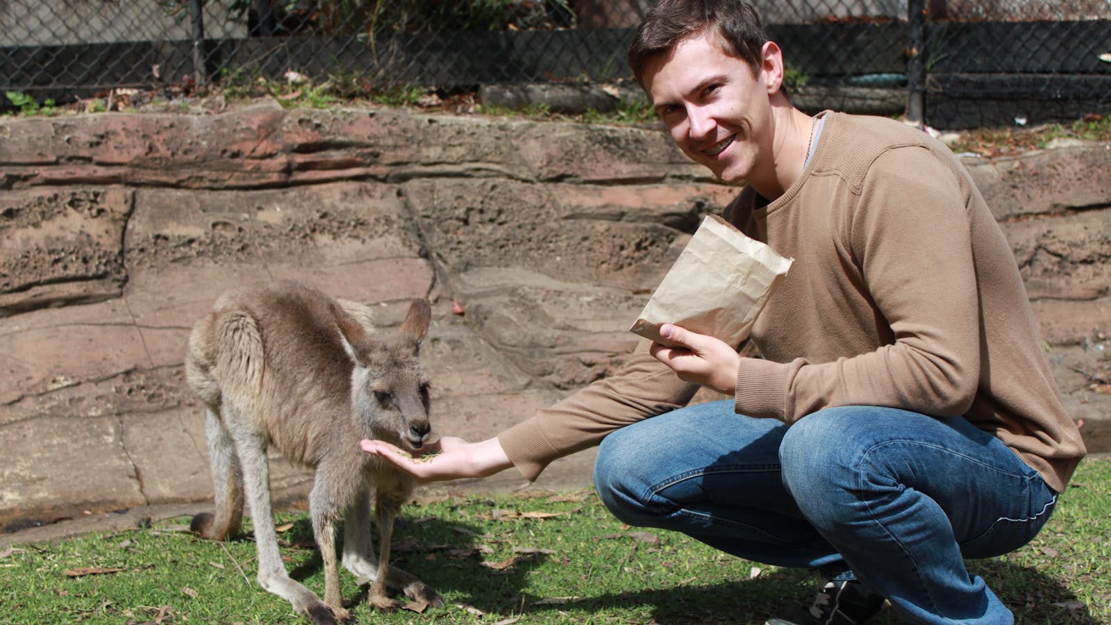 Koala Park