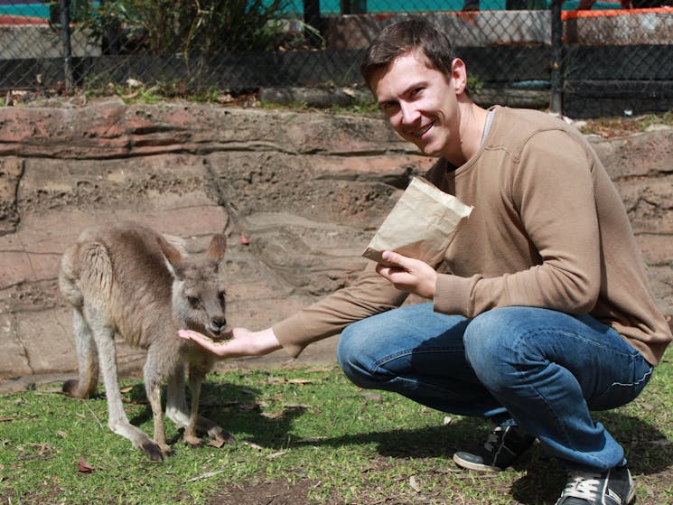 Koala Park