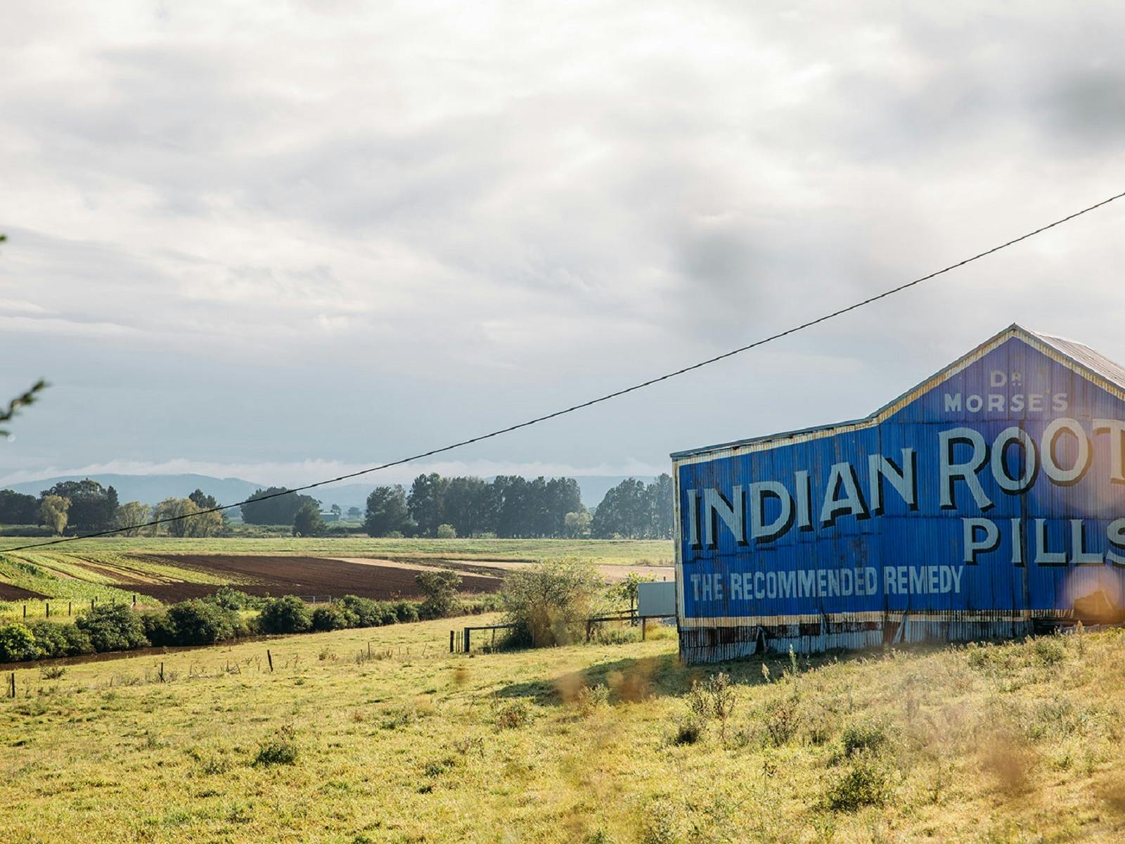 Pill The Roots Indian Root Pills Building in East Maitland - The Fold: Your Guide to ...