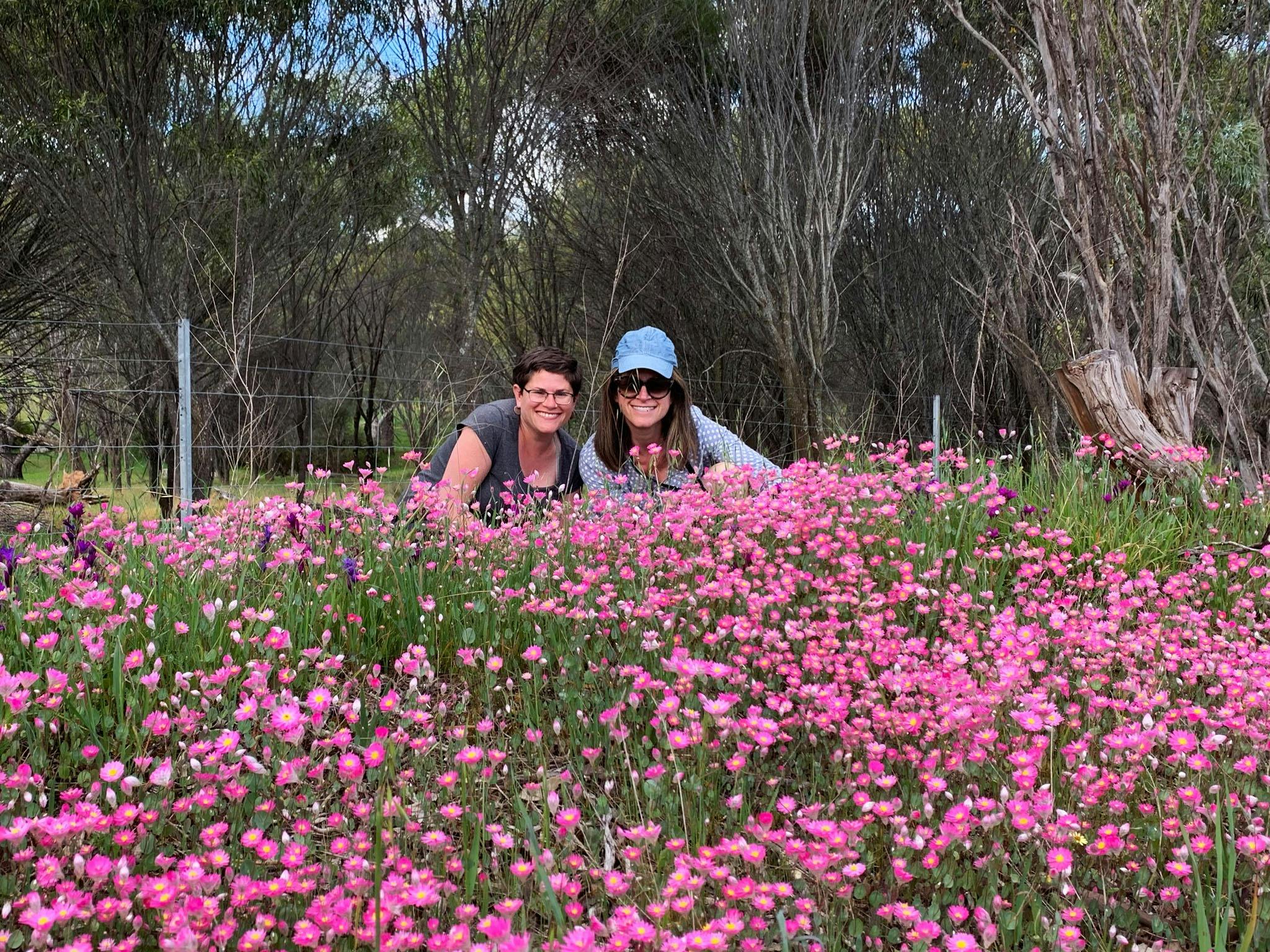 Perths Tiny Tours, Perth, Western Australia