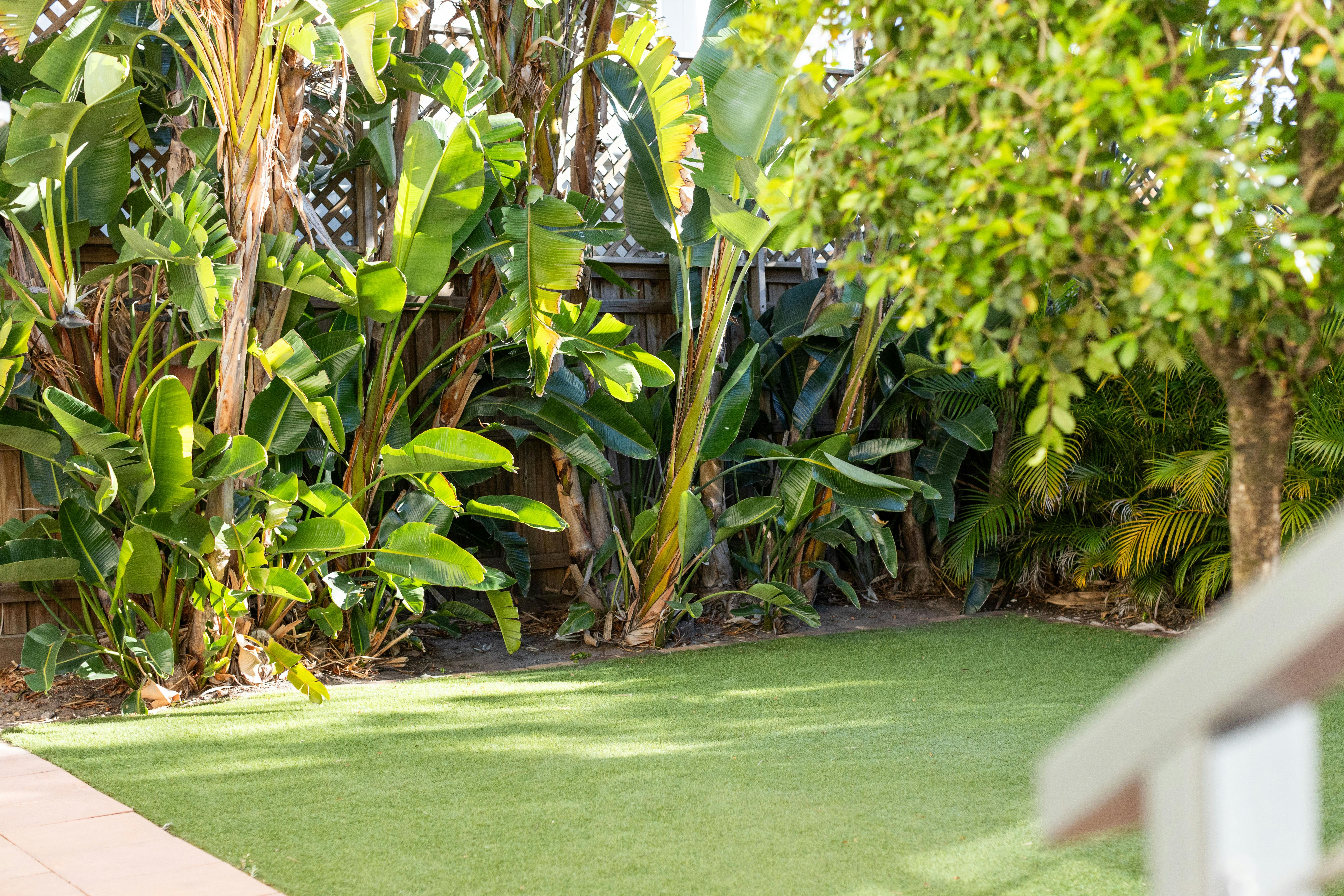 Pet friendly with fully fenced backyard