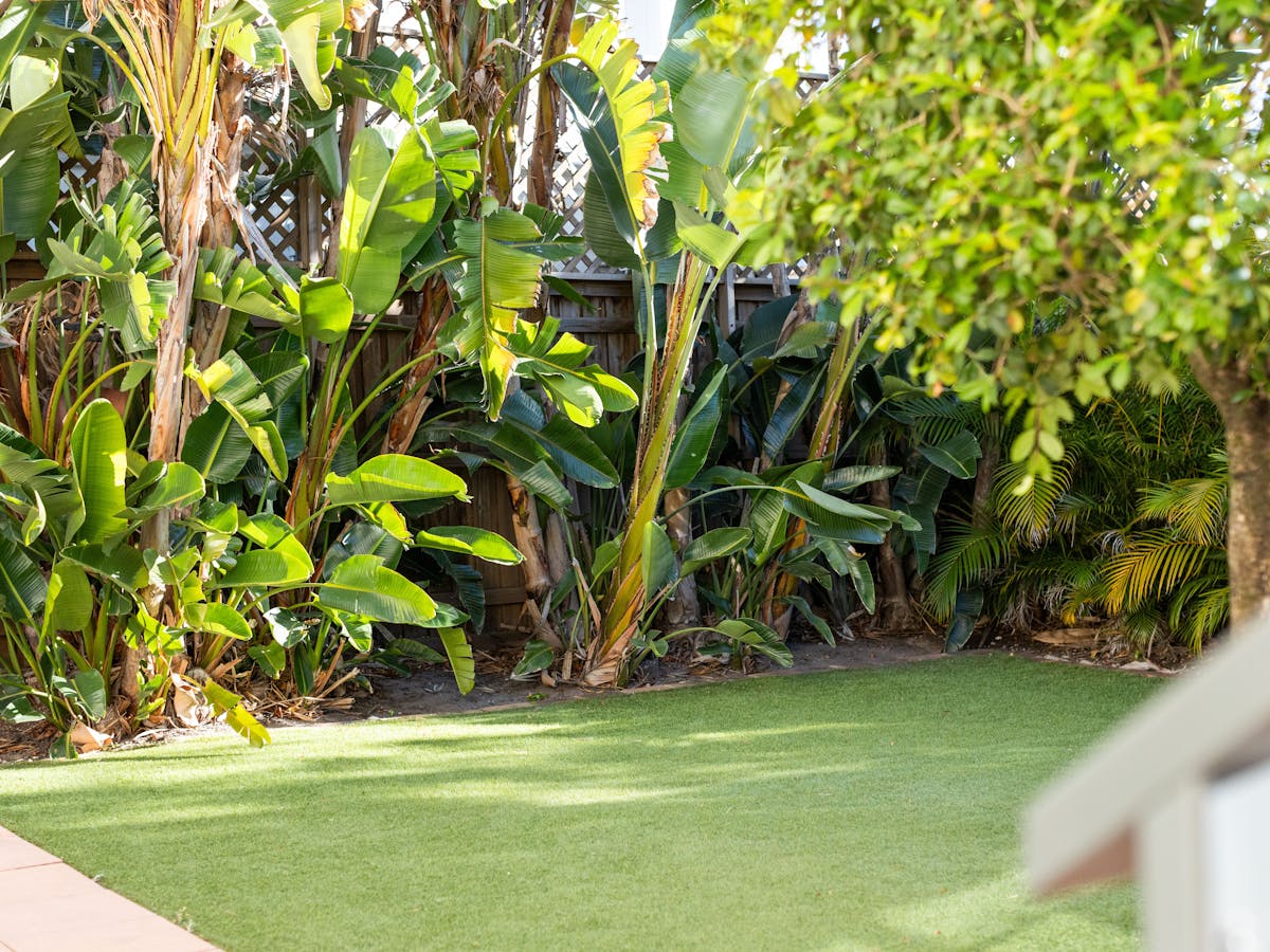 Pet friendly with fully fenced backyard