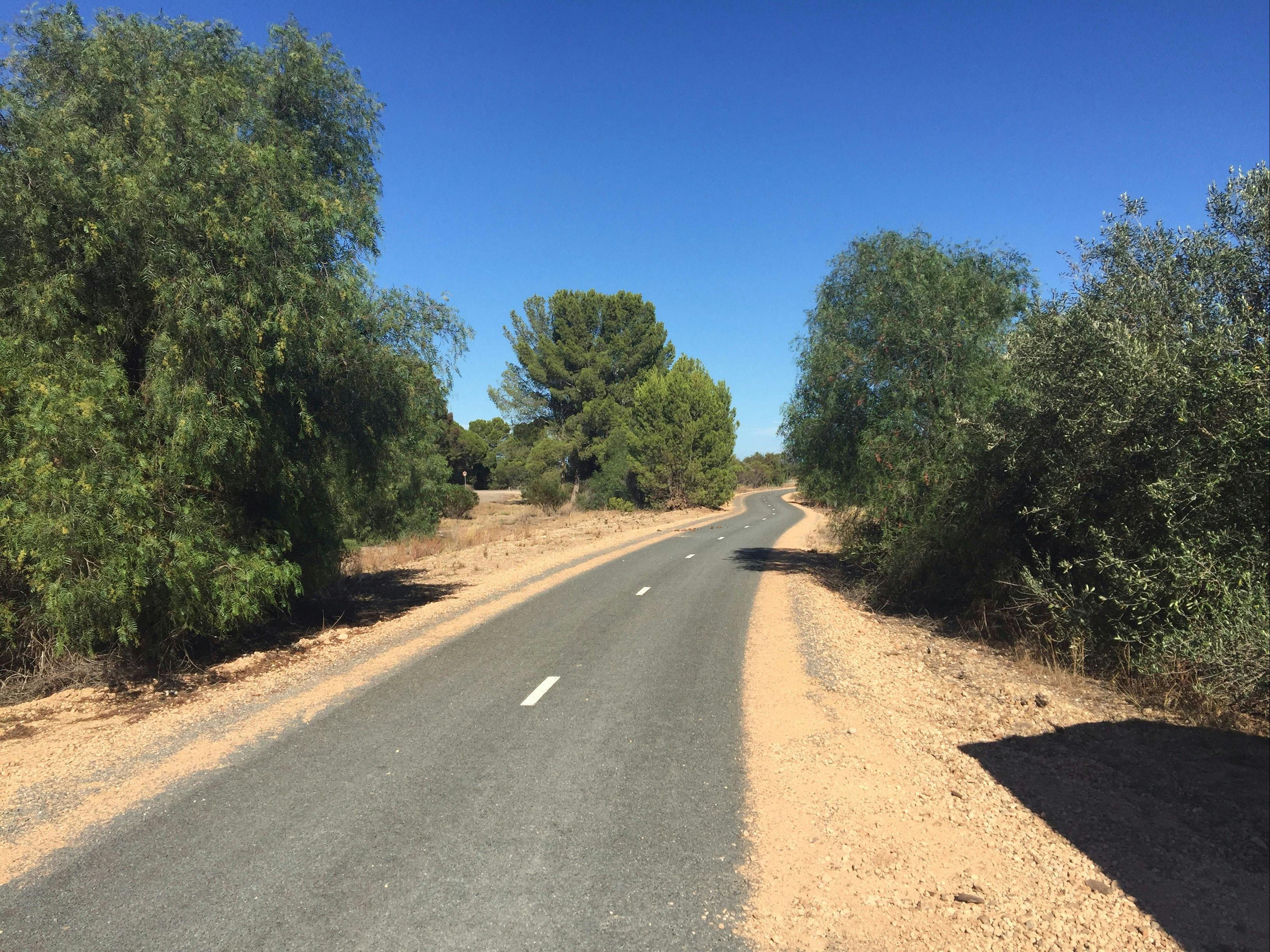 Copper Rail Trail, walking and cycling trails