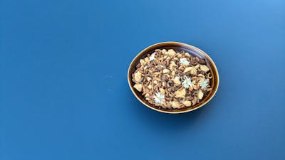 Chocolate and hazel nut dessert