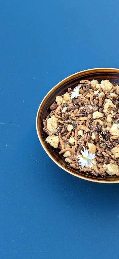 Chocolate and hazel nut dessert