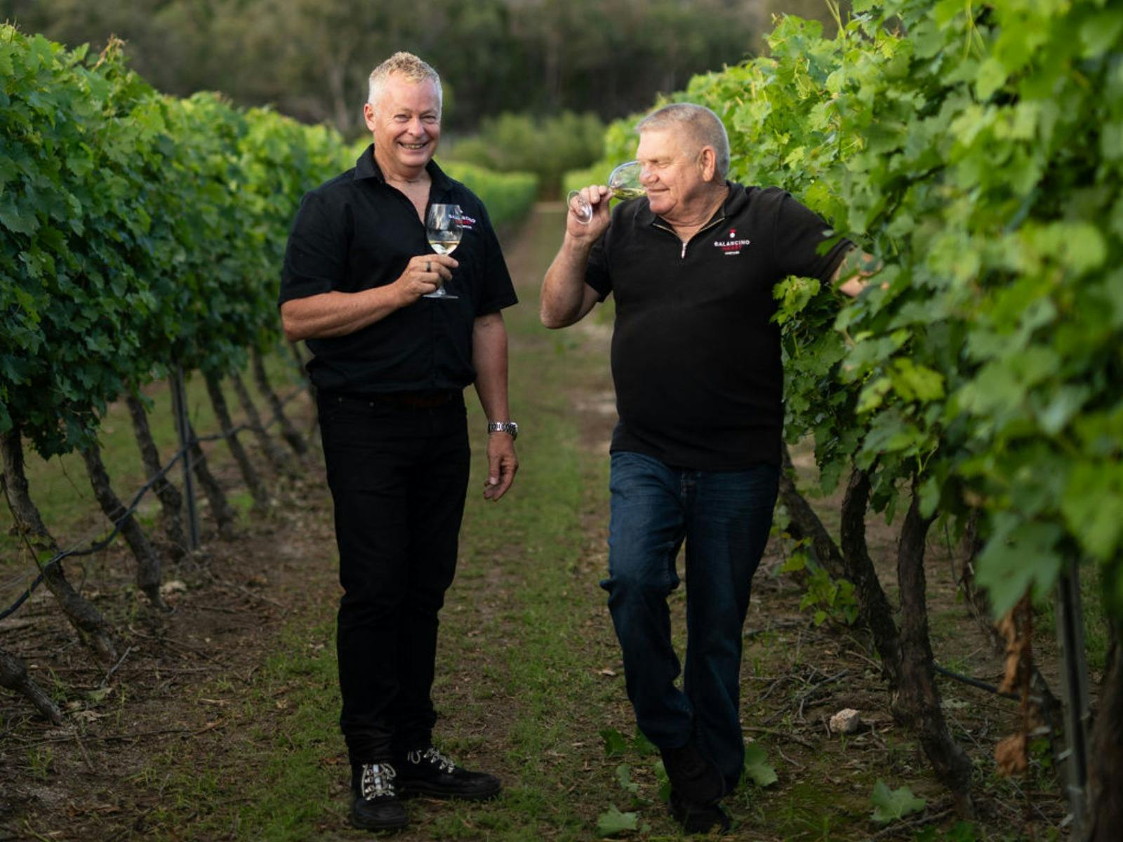 Aficionado Wine Masterclass at Balancing Heart Vineyard