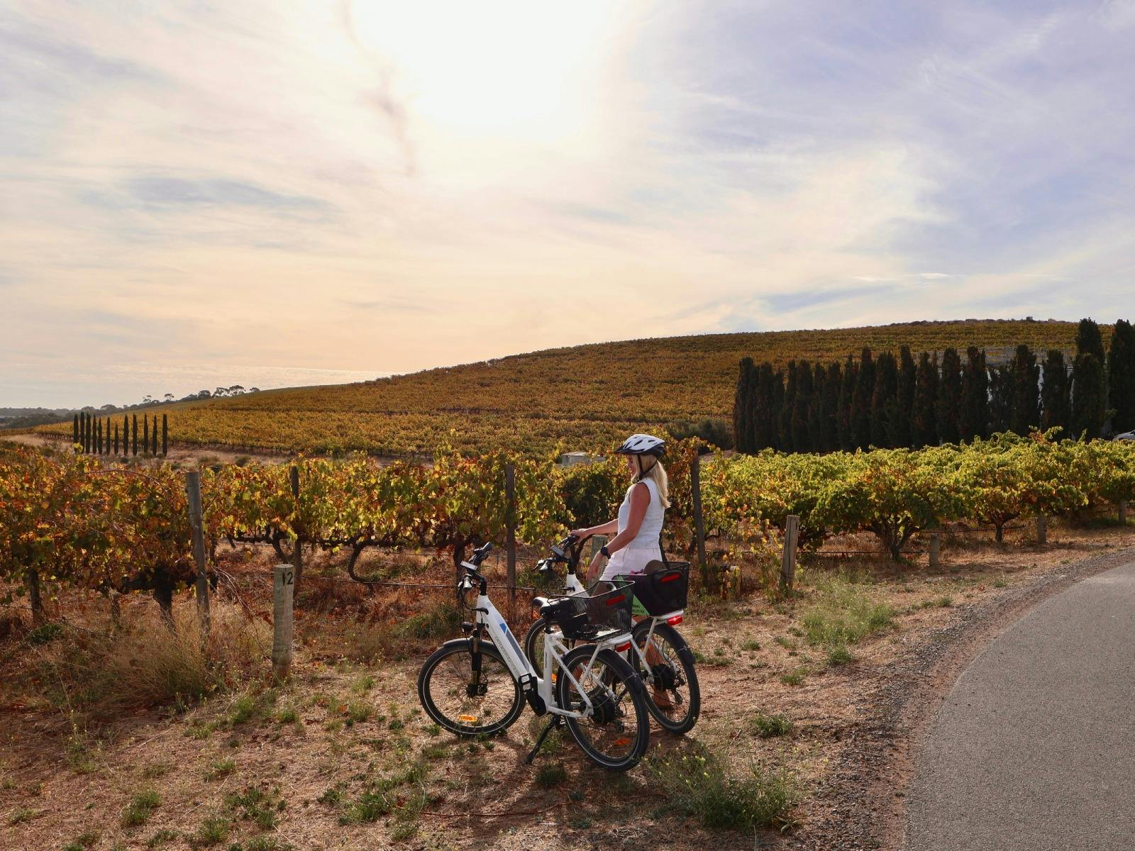 A young woman standing beside eBikes in teh evening light with vines in the background