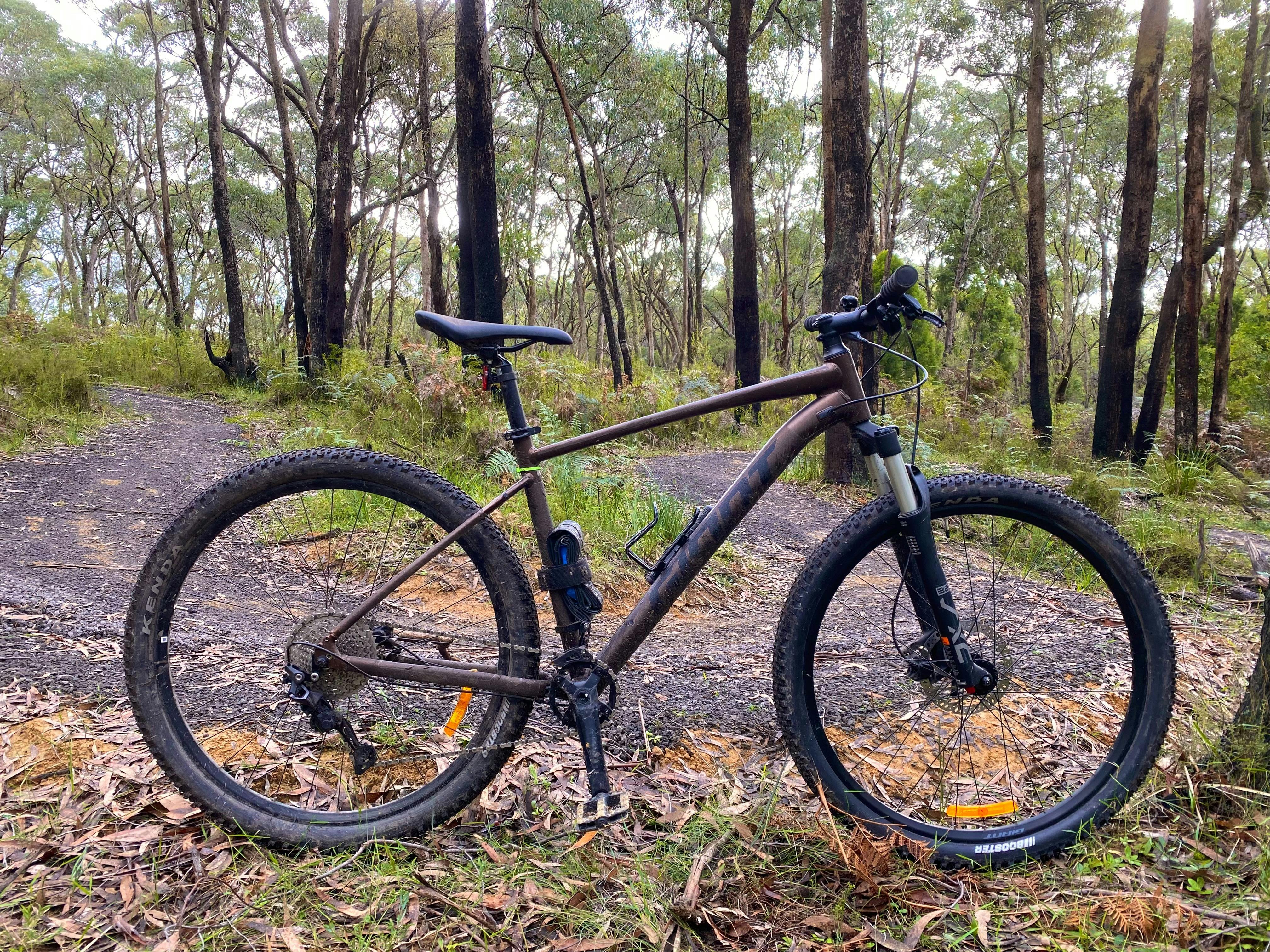 Forrest MTB Hire