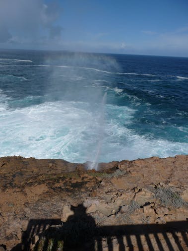 5 Day Eyre Peninsula Australian Bight Whale Watching Tour SWTWW05