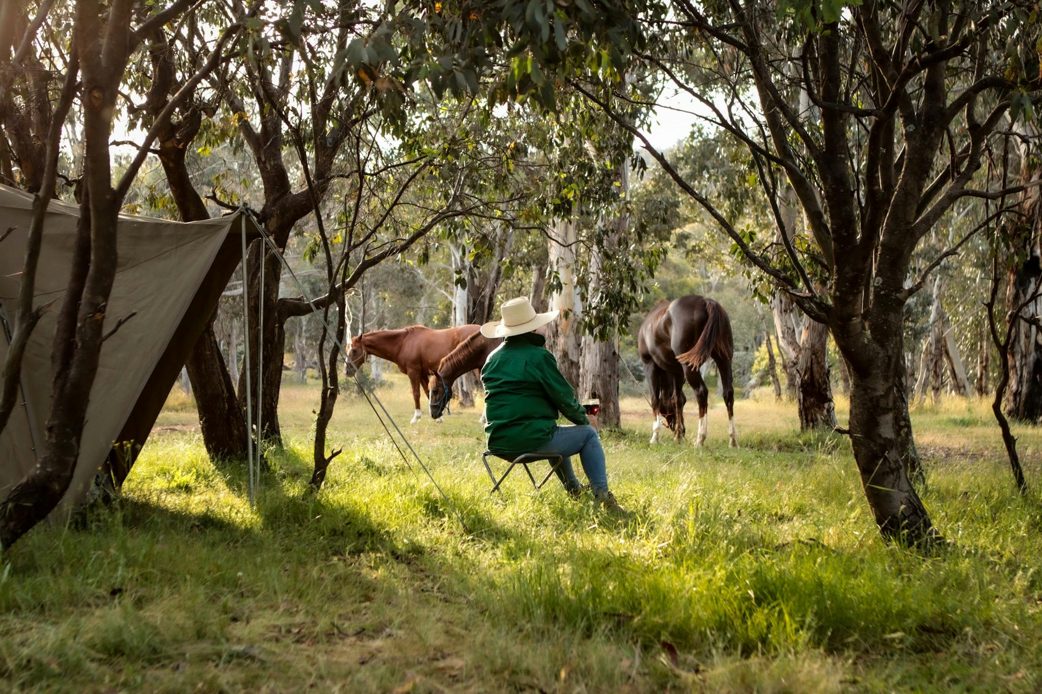 Lady sipping wine while watching the horses graze