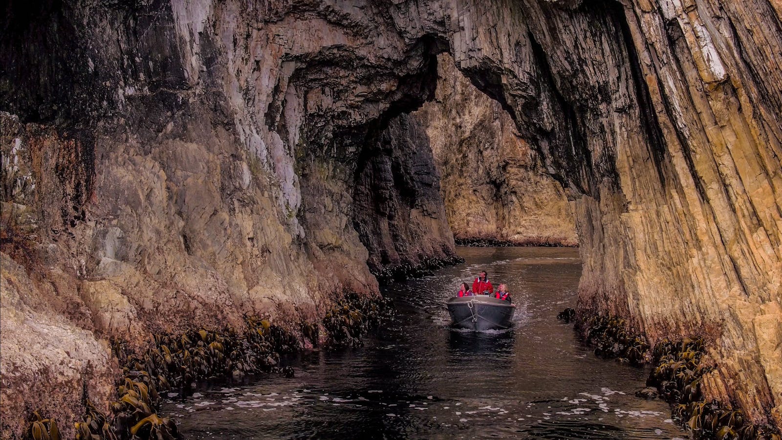Explore a network of sea caves in our tender vessel.