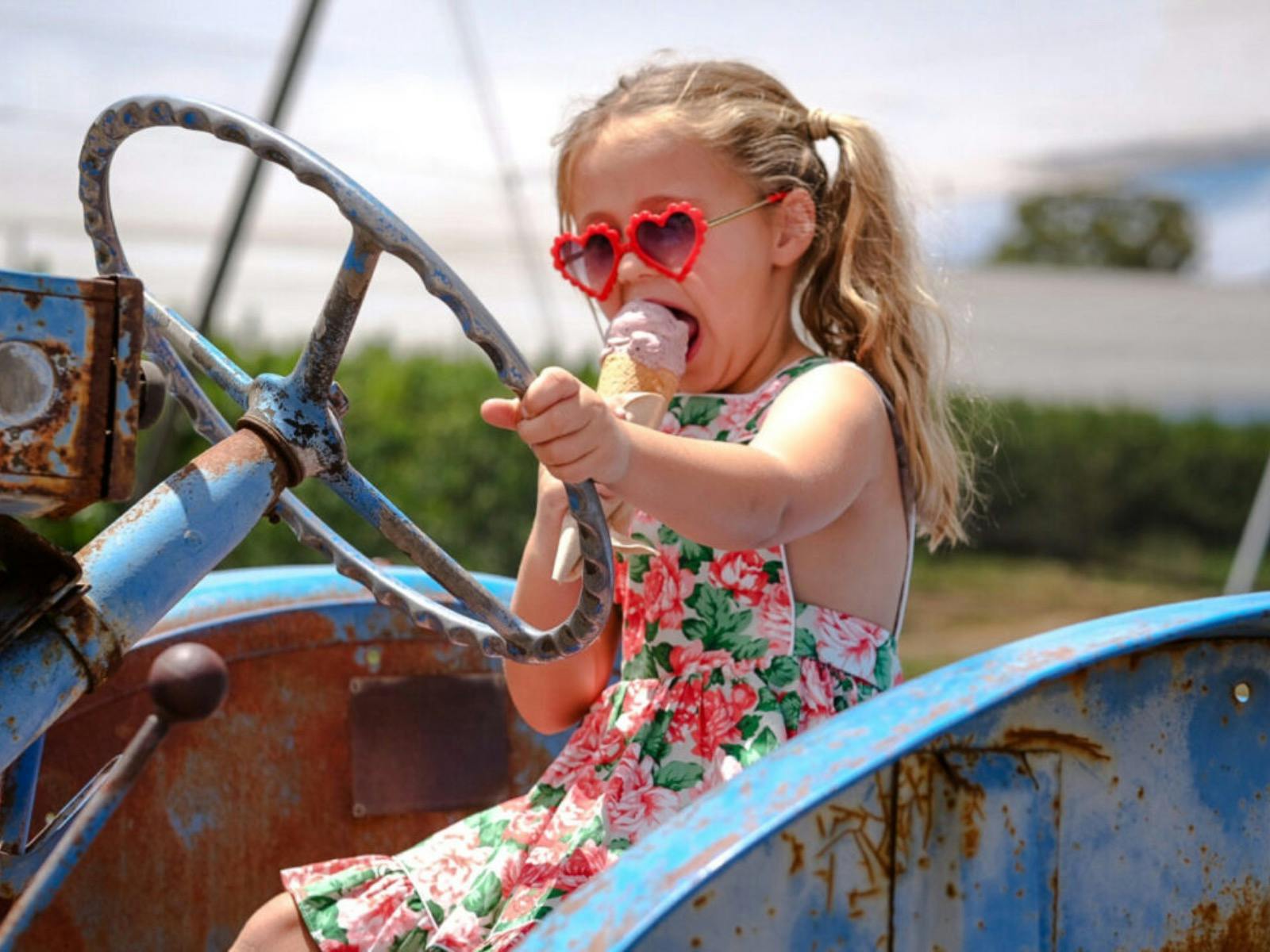 cherry picking at birdwood
