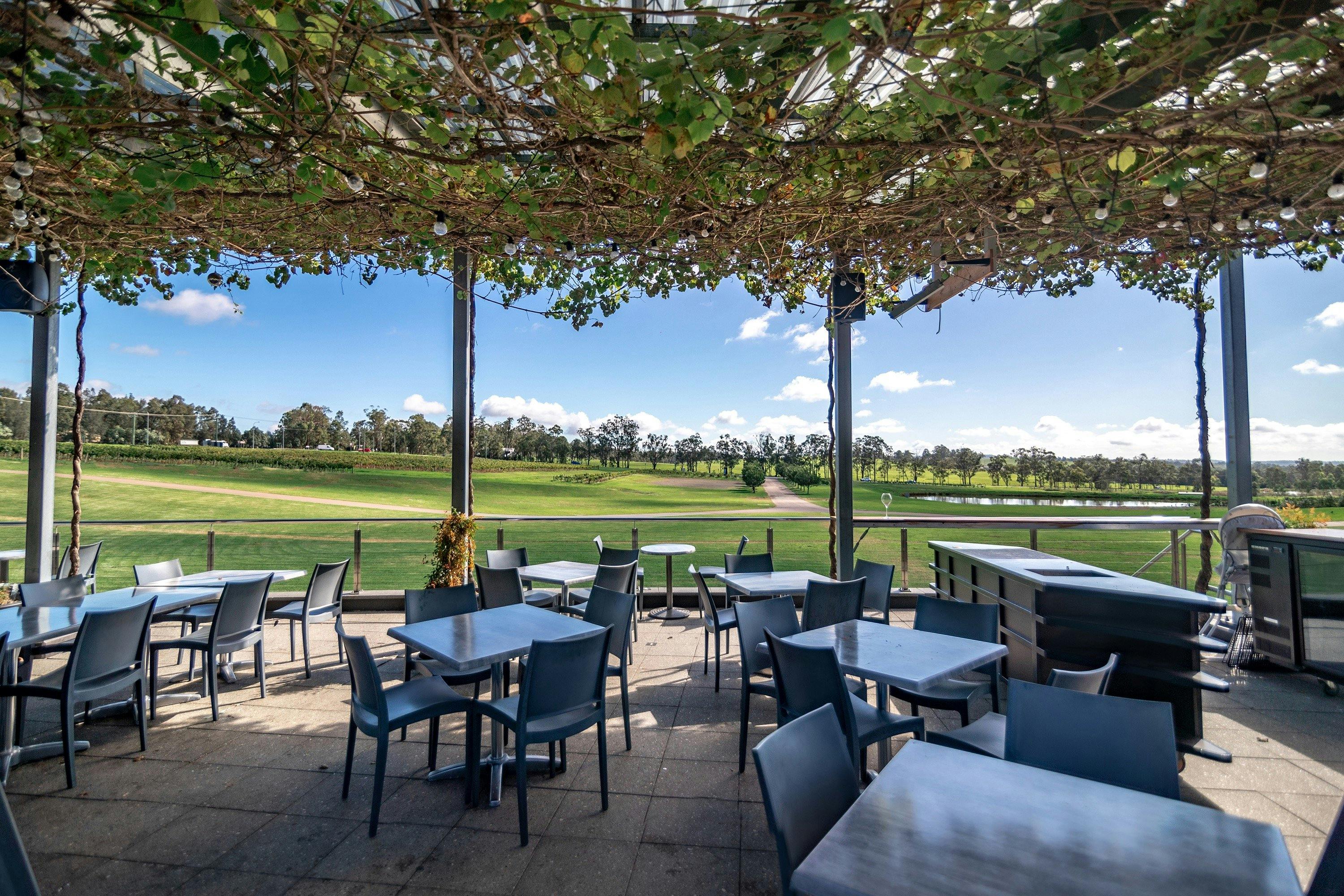 The Beautiful Goldfish Terrace