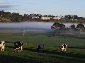 Lardner Park