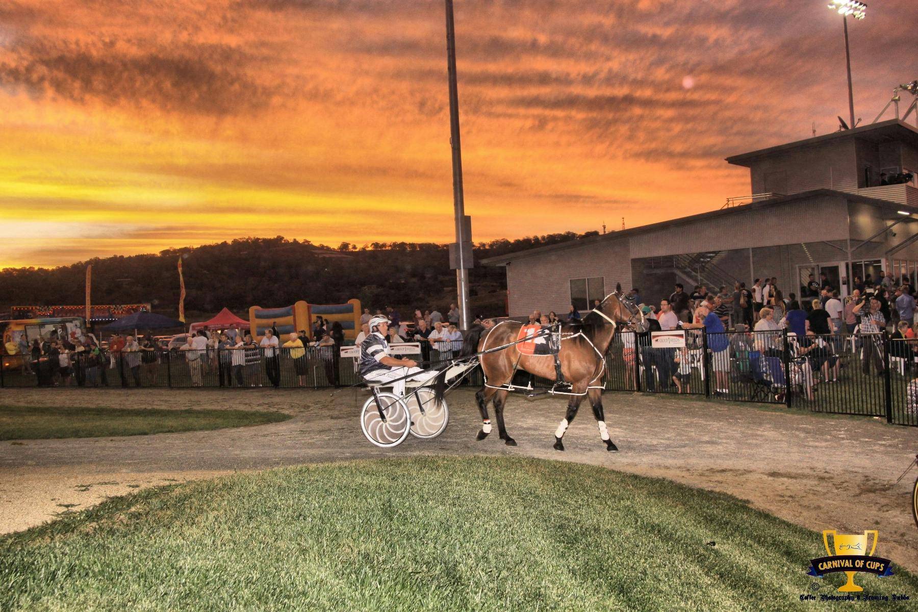 parade ring, sunset, brown horse, jockey driver, white sulky