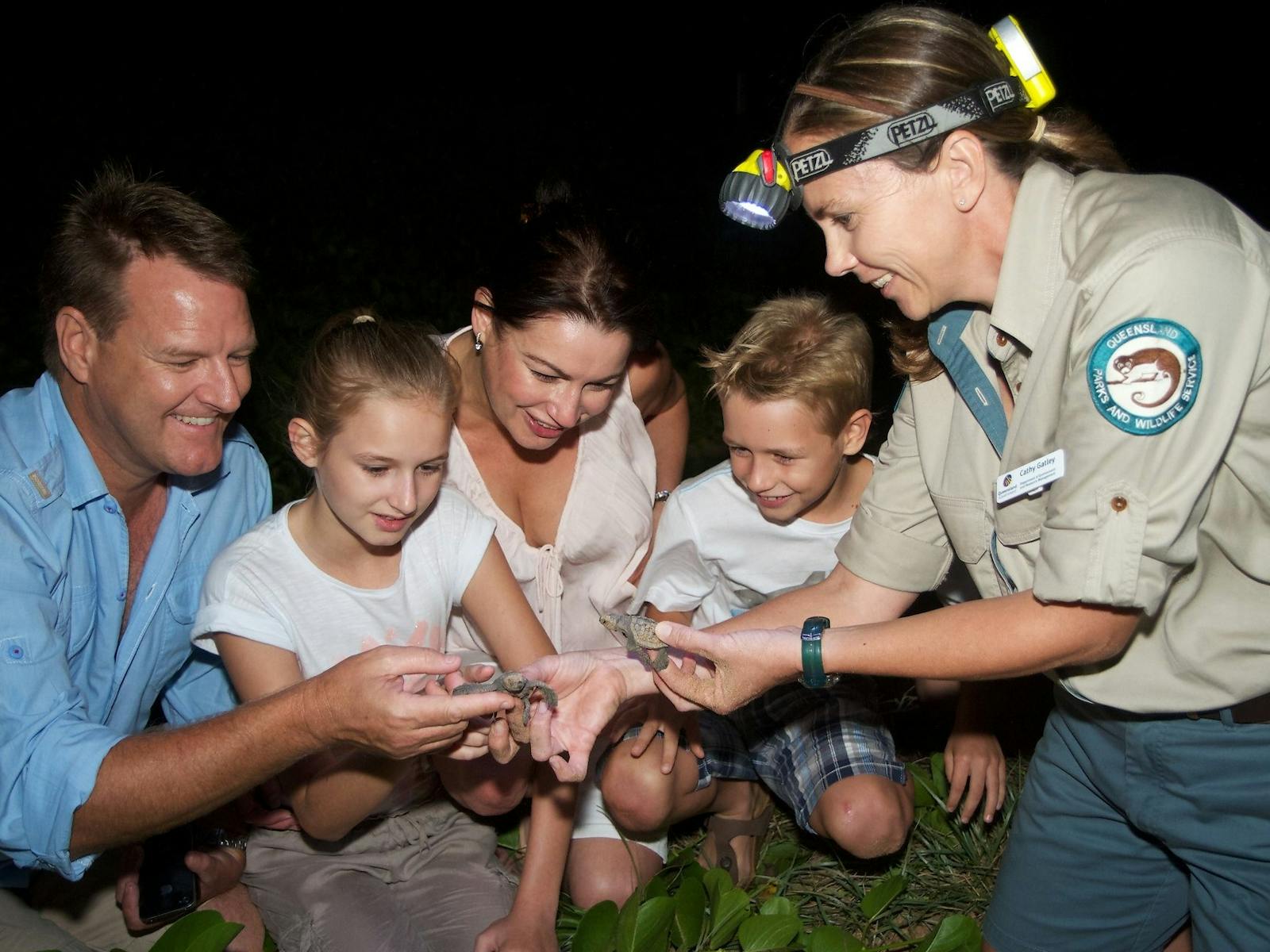 Hatching Turtles