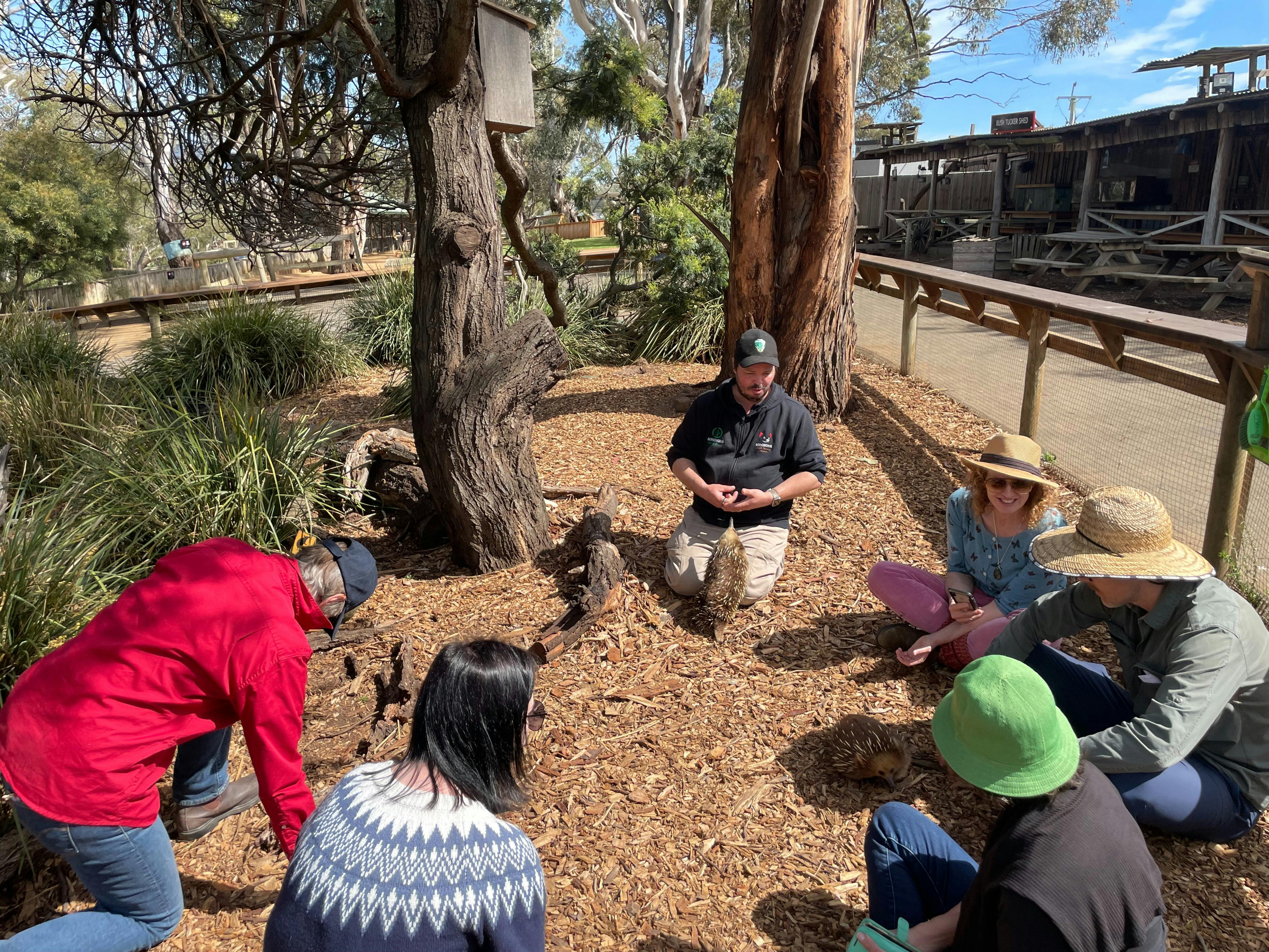 Hobart wildlife tour