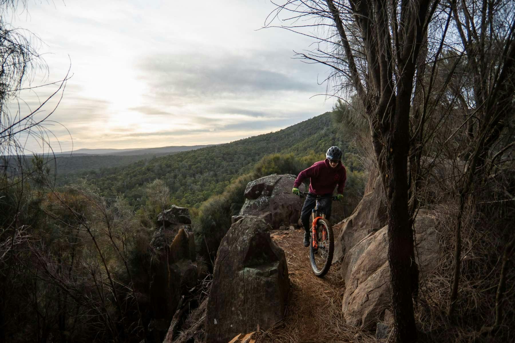 Mountain biker on trails