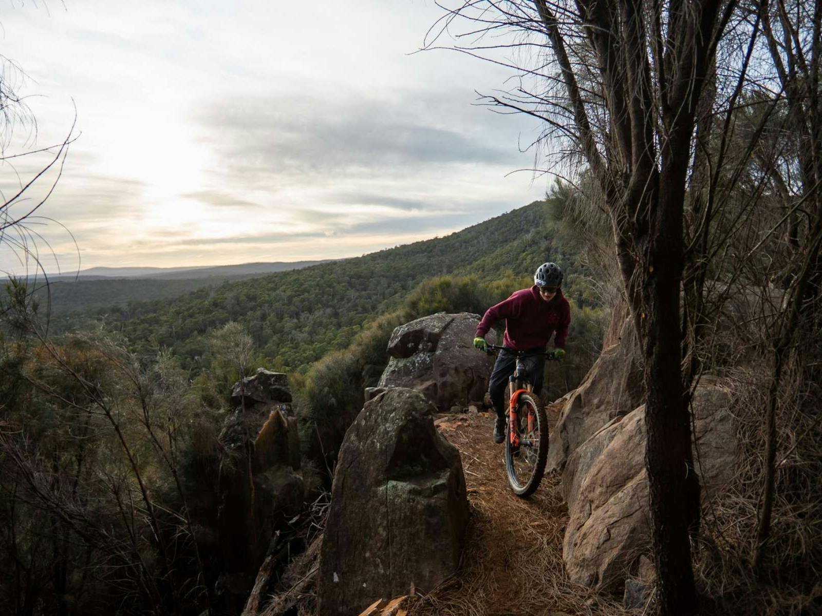 Mountain biker on trails