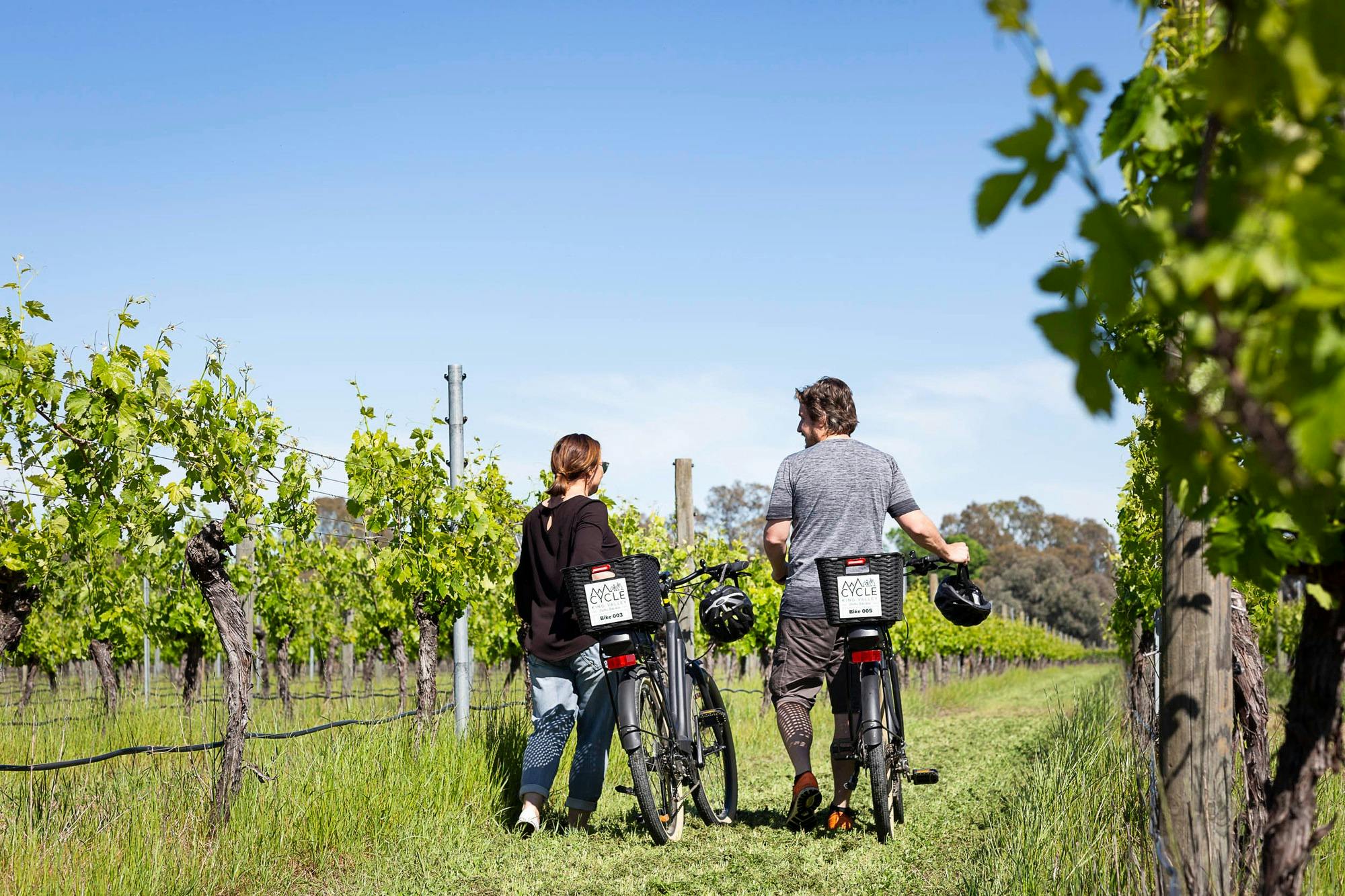 Cycling in the vines, King Valley