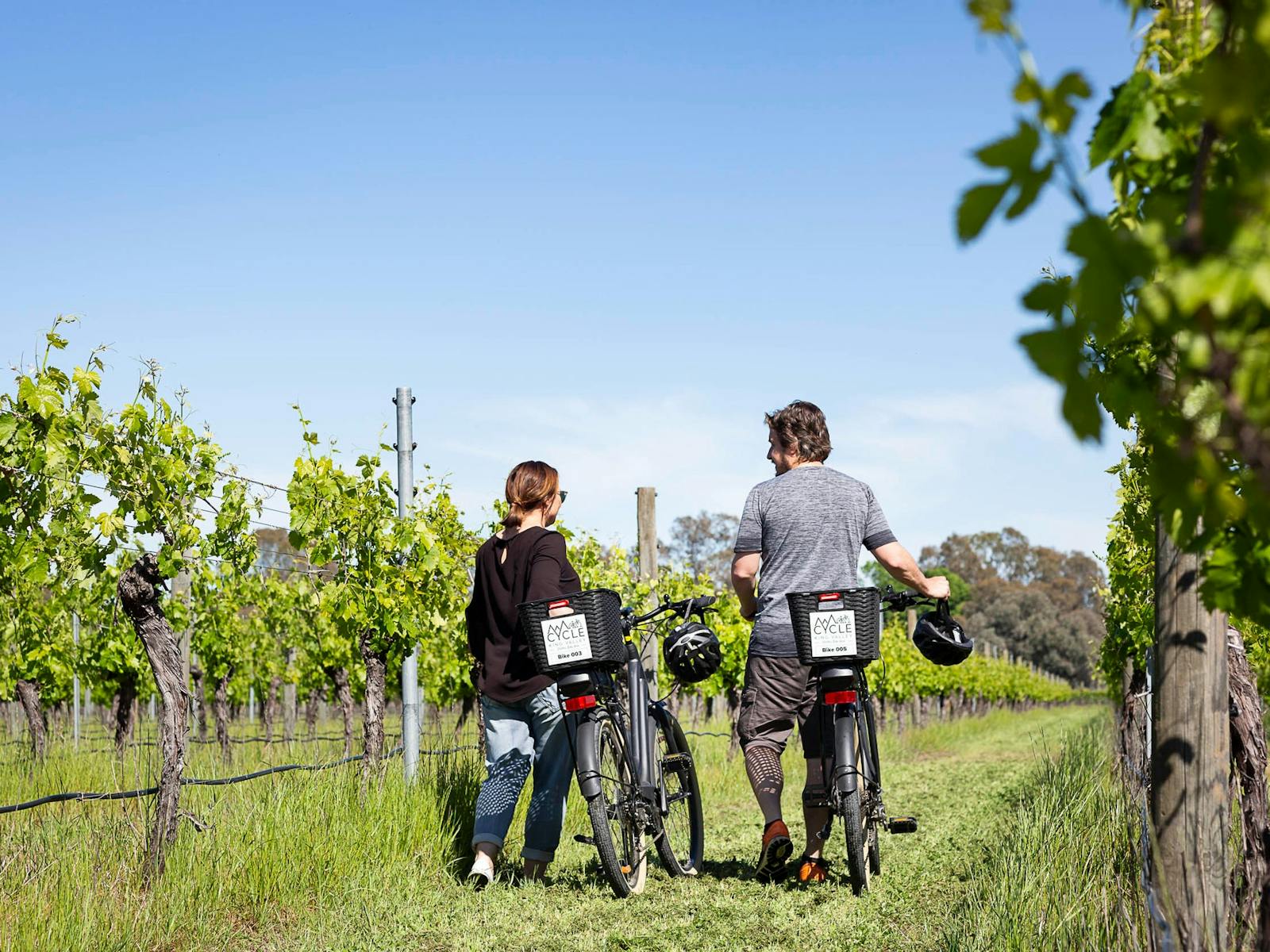 Cycling in the vines, King Valley