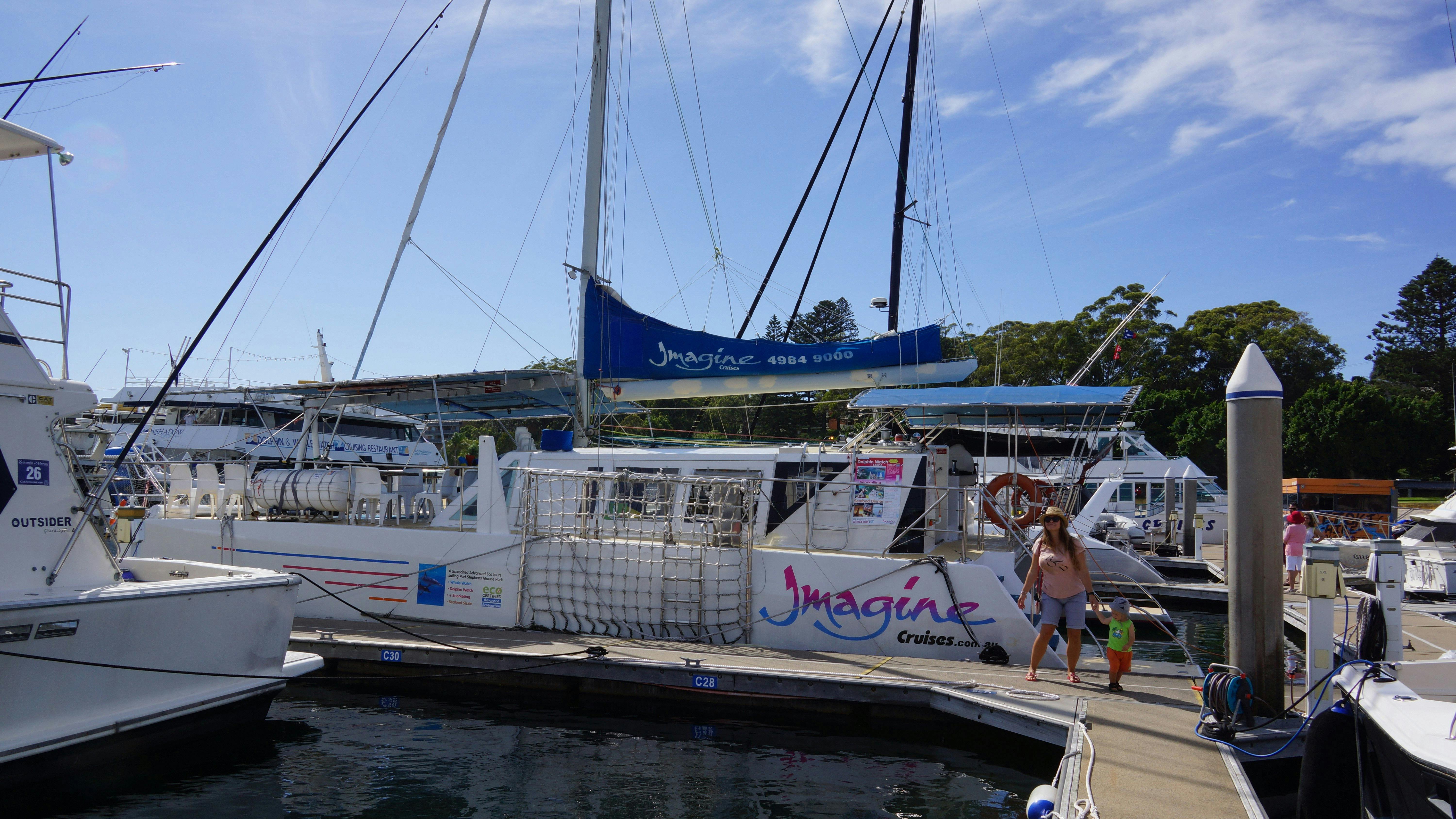 Catamaran for  Whales / Dolphins Cruises
