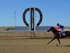 Richmond Field Days and Races