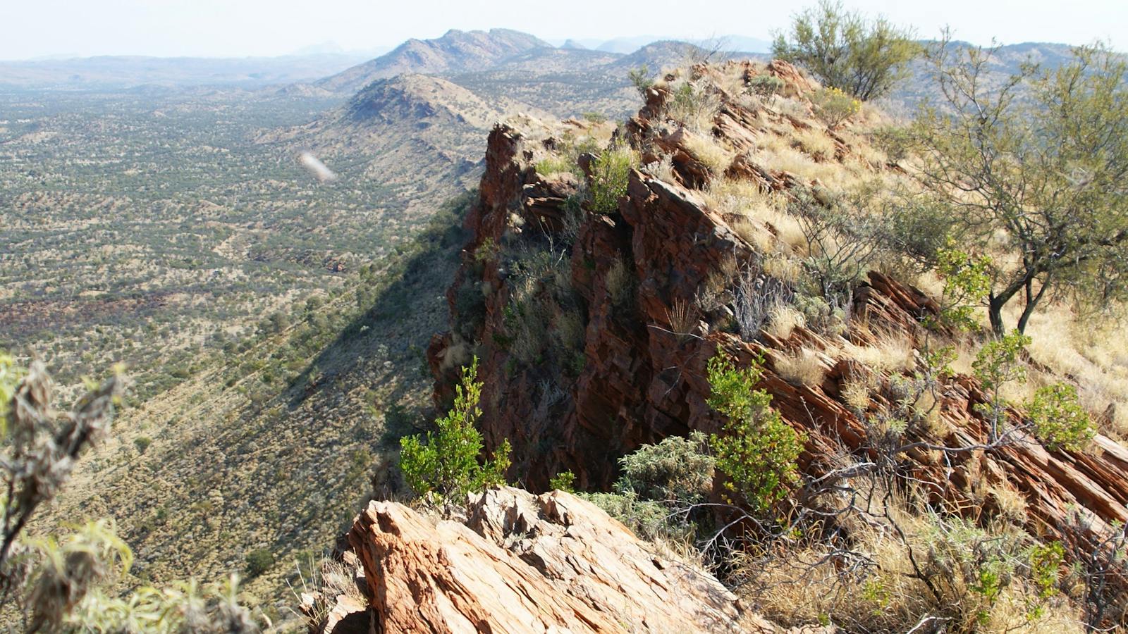 Larapinta Trail