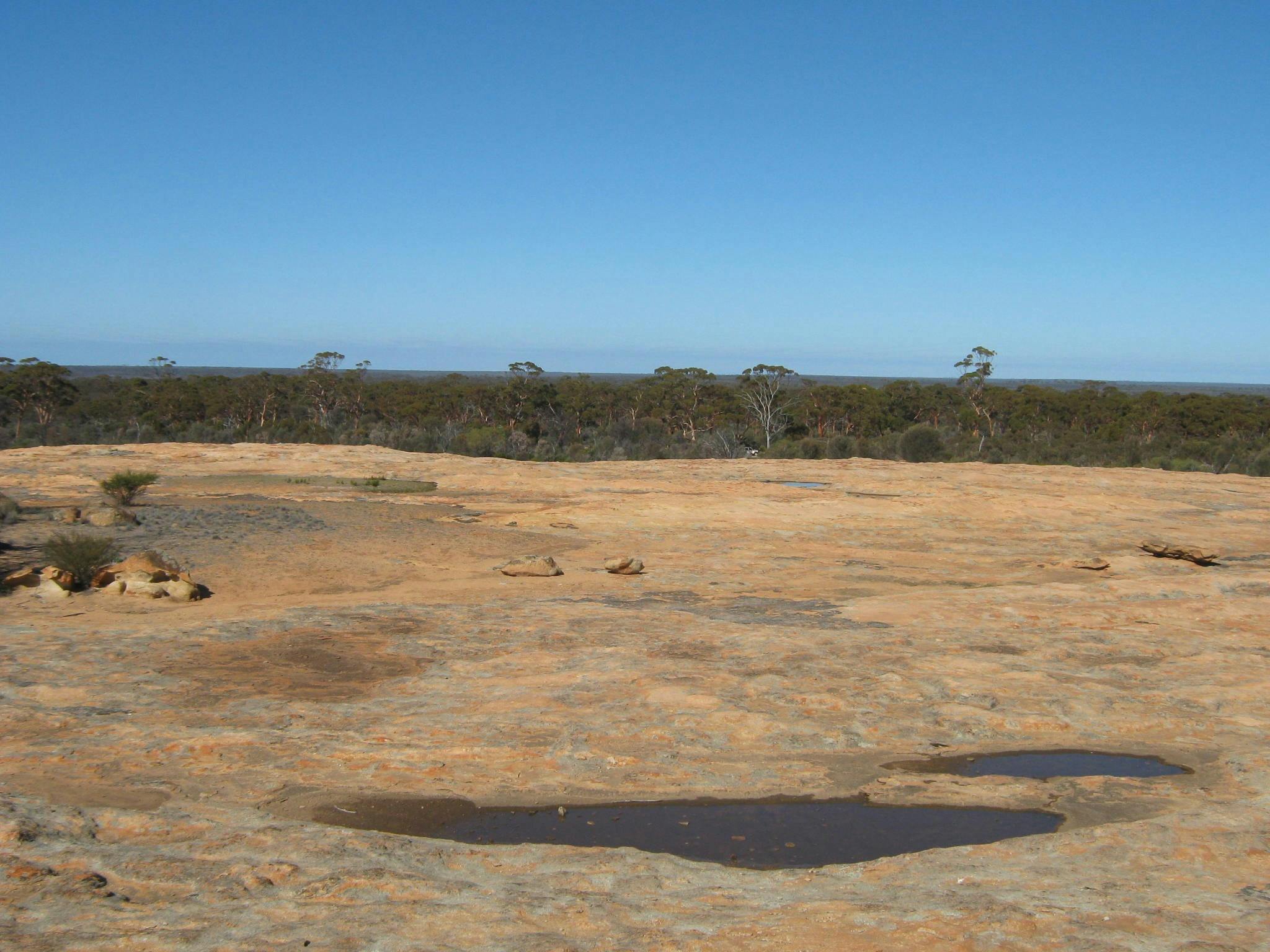 Goldfields Woodlands National Park