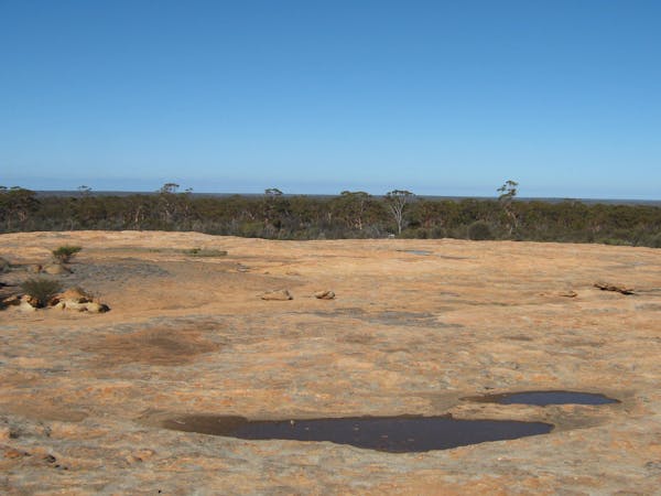 Goldfields Woodlands National Park