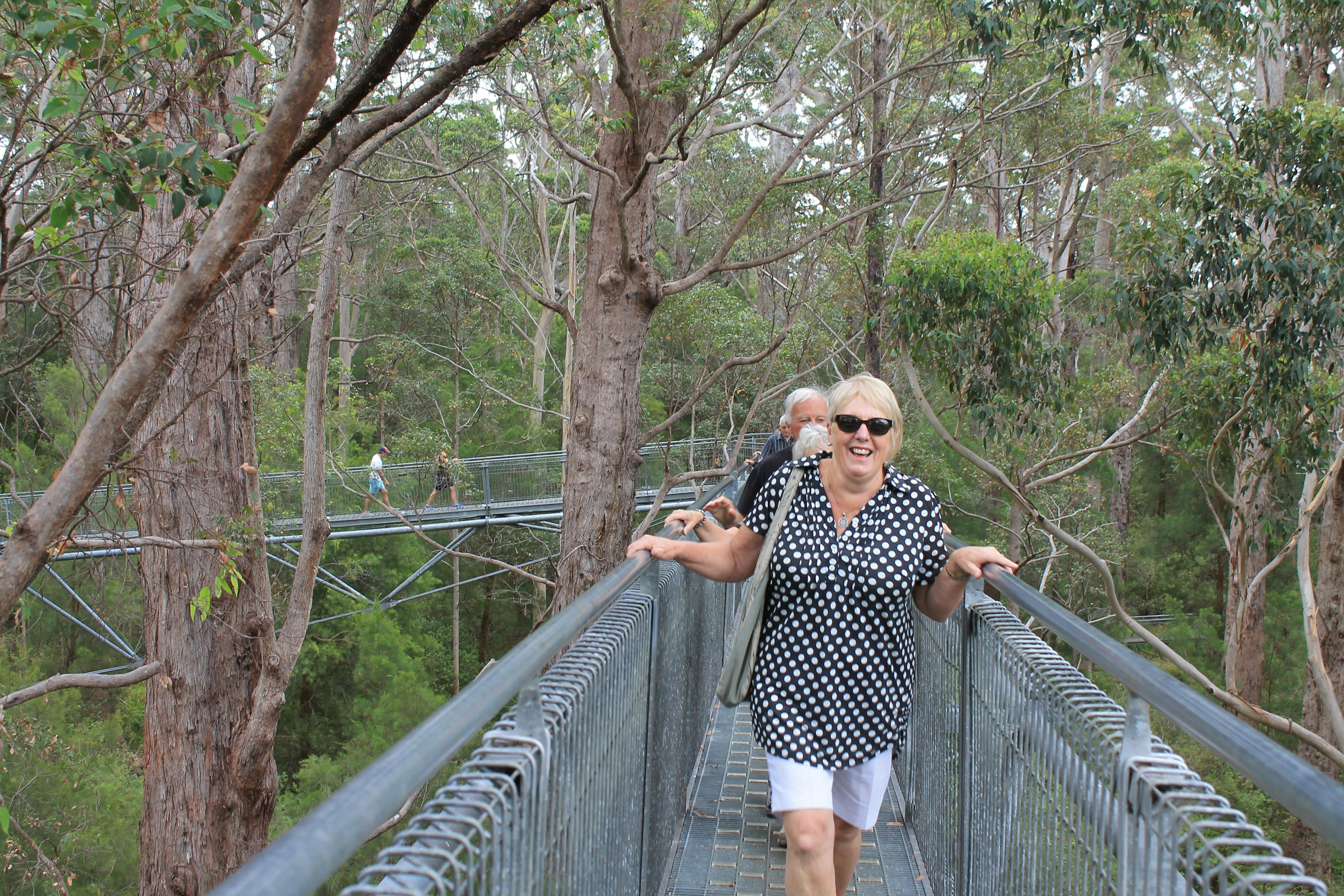Valley of the Giants Tree Top Walk