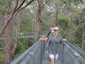 Valley of the Giants Tree Top Walk