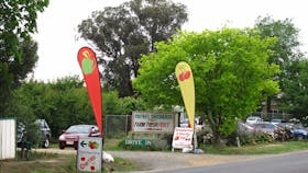 Payne's Orchards