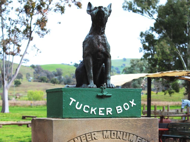 Dog on the Tucker Box