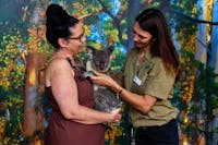 A wildlife keeper is passing a koala to a lady for a Koala Photo Experience.