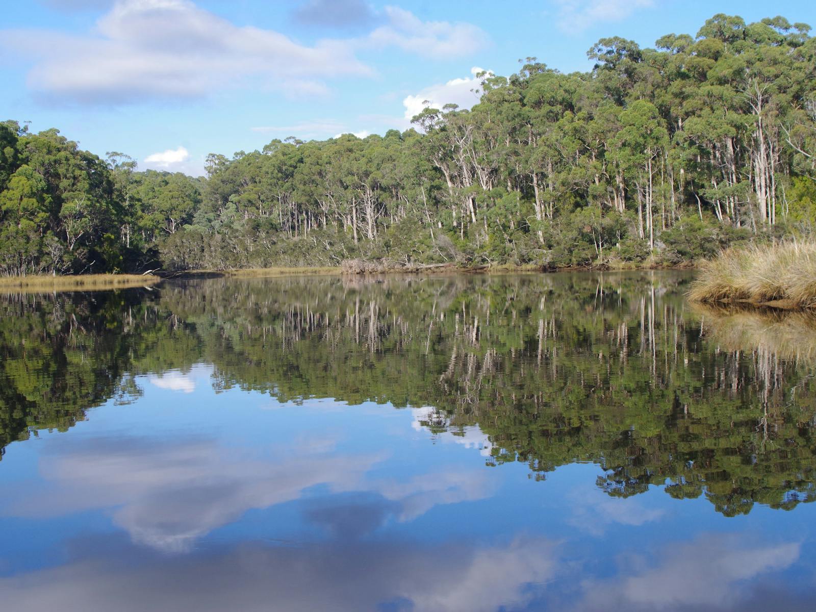 beautiful reflections Leven River