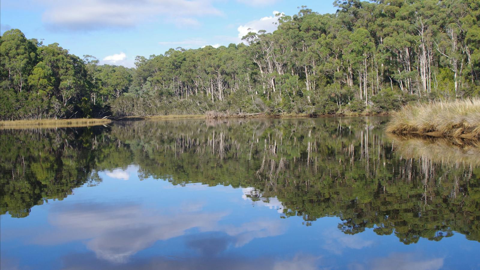 beautiful reflections Leven River