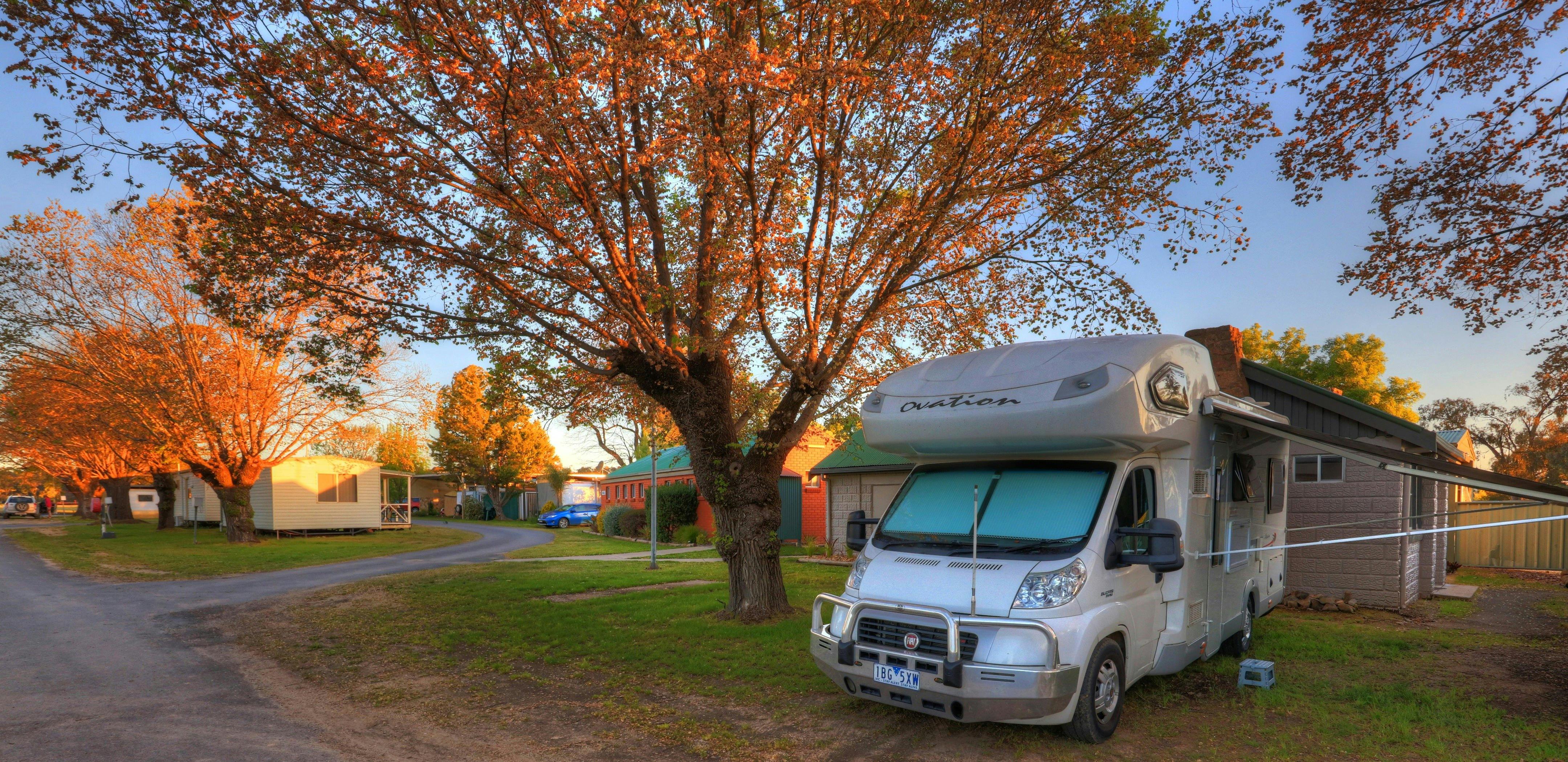 가을의 캄파반 사진