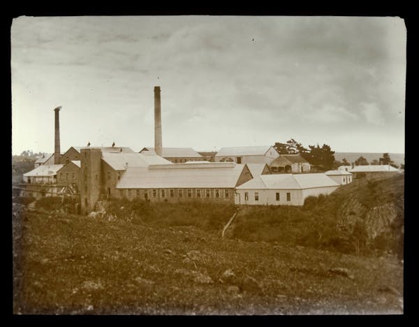 Fyansford Paper Mill Heritage Tours
