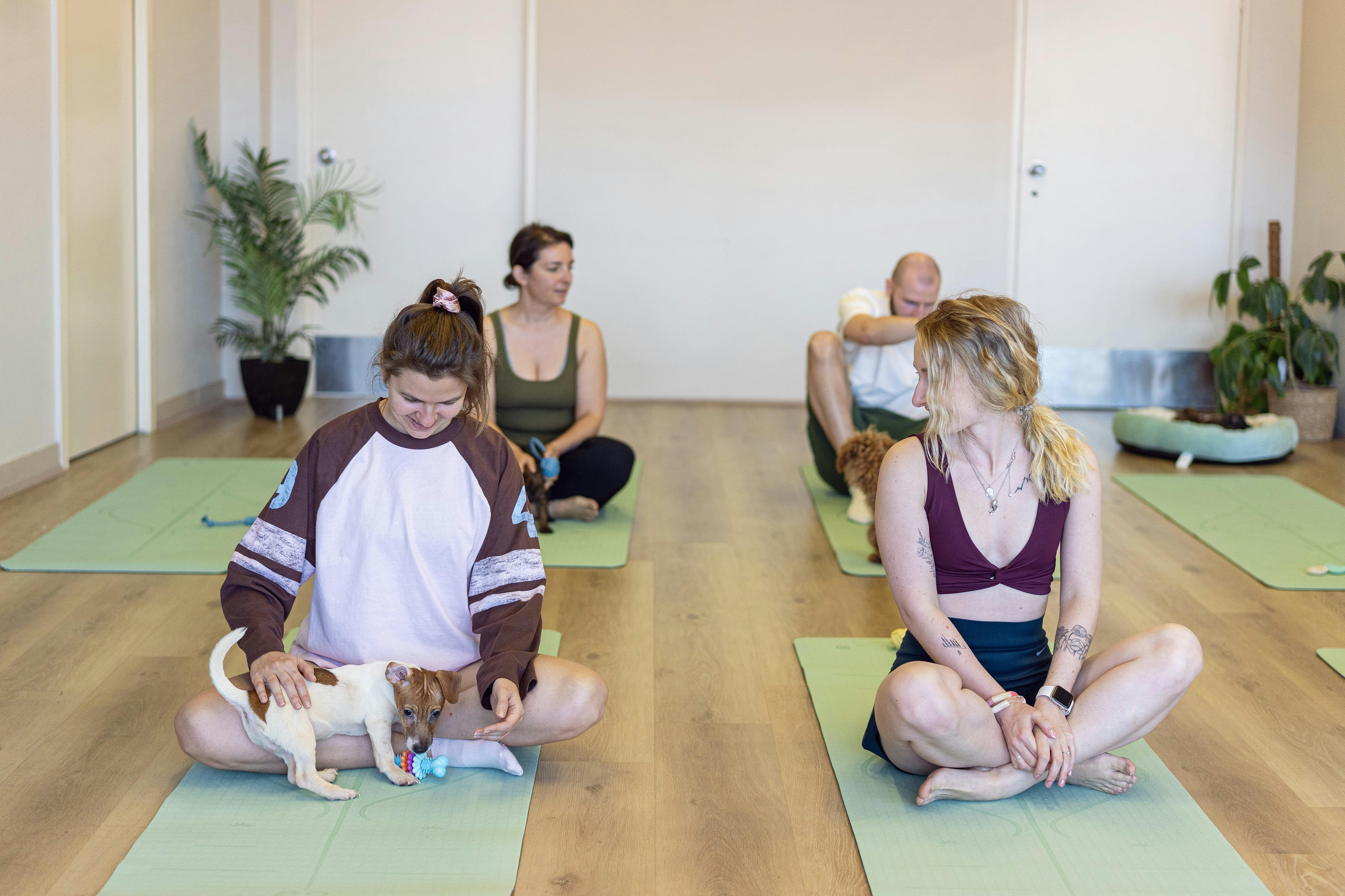 Puppy Yoga