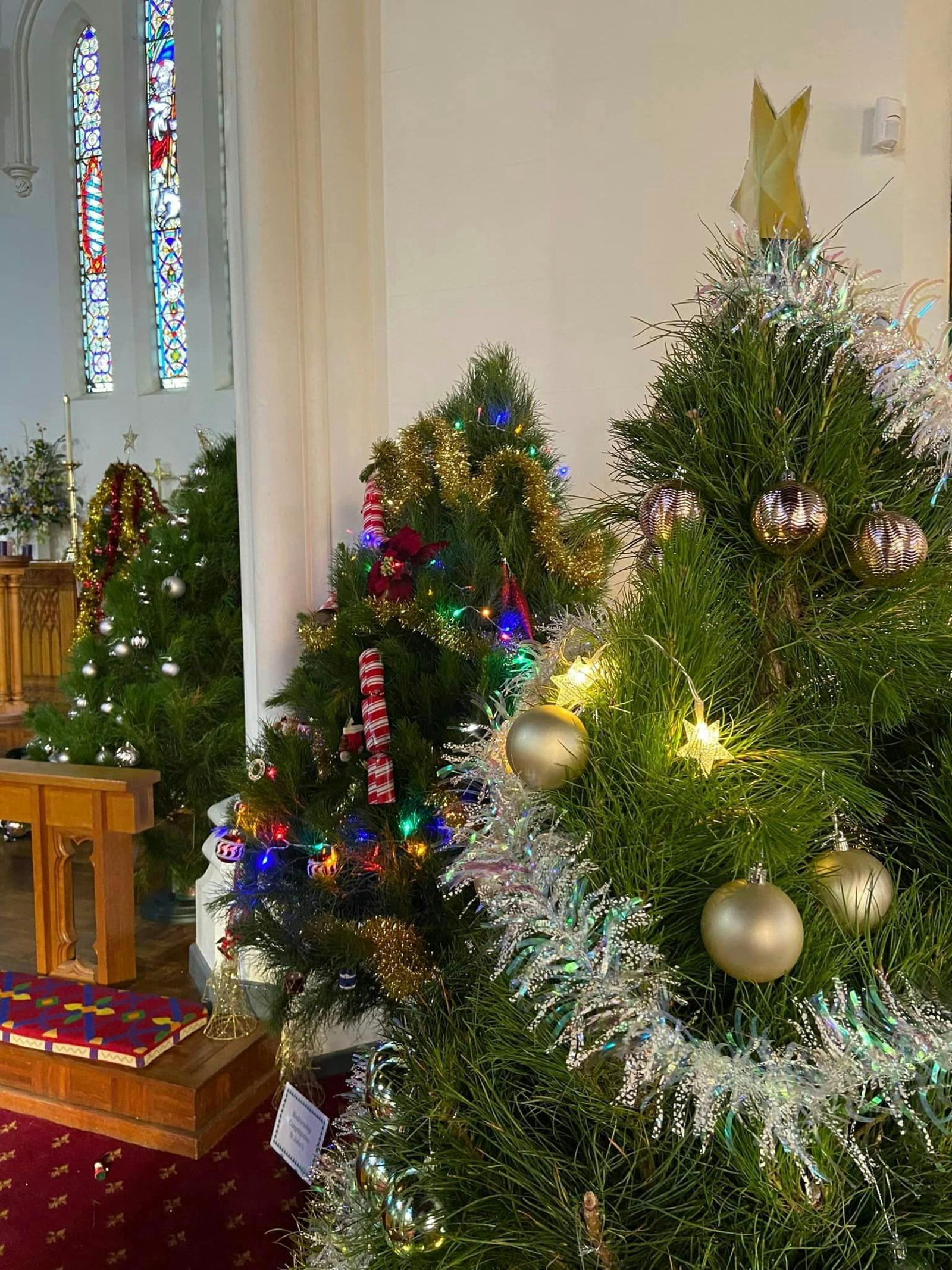 Festival of Christmas Trees
