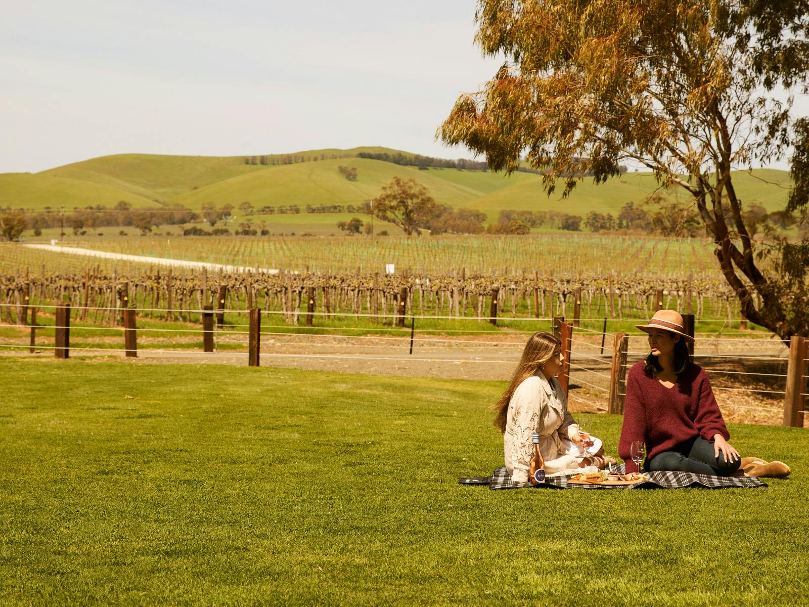Jacob's Creek Horse Ride Experience