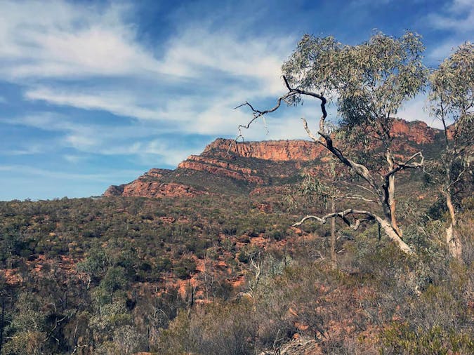 4 day Northern Flinders Ranges Wellness Weekender For Women