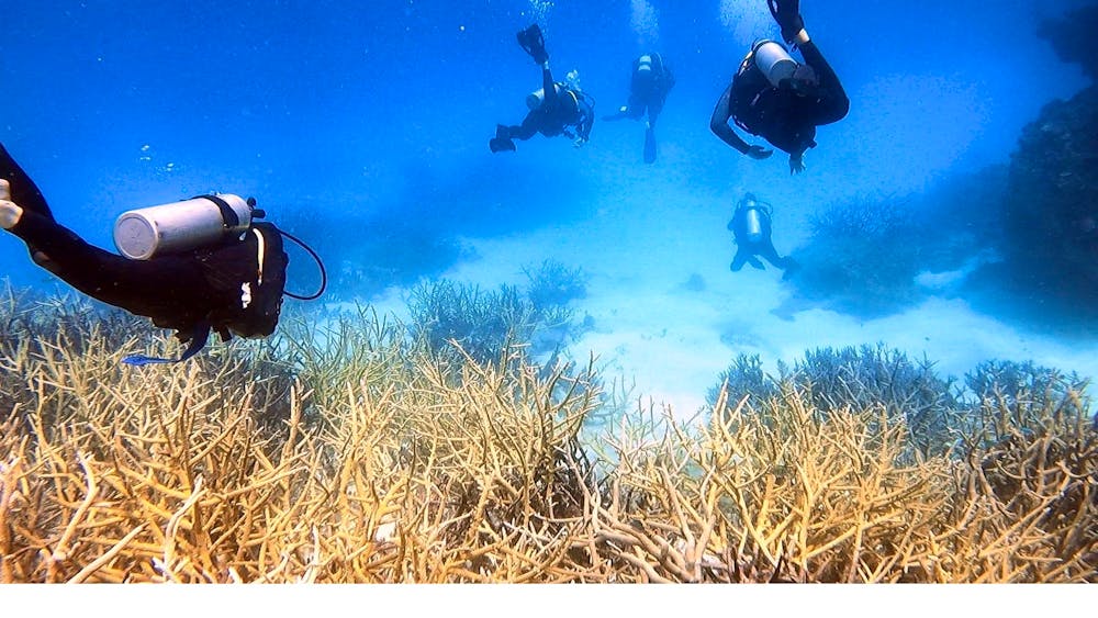 Remote Area Dive